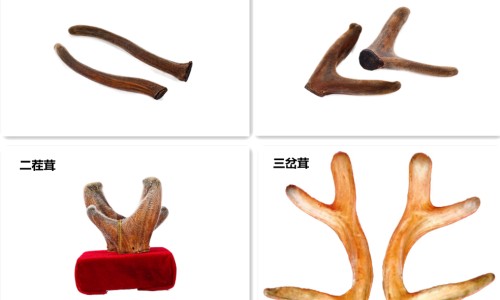 屁股两侧出汗-屁股凉还出汗网 | 屁股凉出汗潮湿怎么回事,屁股凉还出汗什么原因