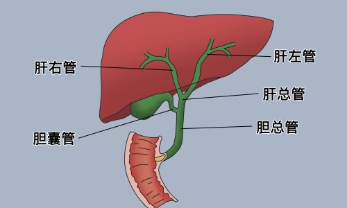 屁股凉还出汗网 | 屁股凉出汗潮湿怎么回事,屁股凉还出汗什么原因